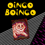 Oingo Boingo