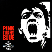 Pink Turns Blue: If Two Worlds Kiss