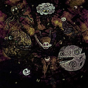 Falling Into Madness