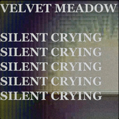 Silent Crying