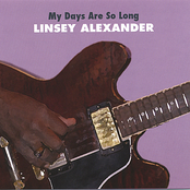 Where Did You Take Your Clothes Off Last Night by Linsey Alexander