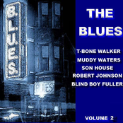 The Blues Volume 2