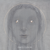 Perfect Angel