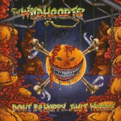 Crying Over Nothing by The Wildhearts