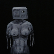 Split 12" w/ Actuary.