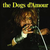 Girl In Black by The Dogs D'amour