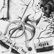 Through The Ashes