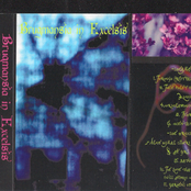 Brugmansia in Excelsis - S/T