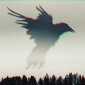 Cry of The Raven