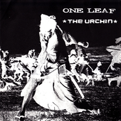 One Leaf / The Urchin split