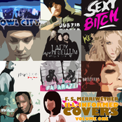 Ill-Advised Covers, Vol. 1