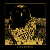 Owl EP