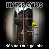 Não sou sua galinha