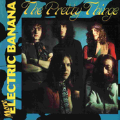 Sweet Orphan Lady by The Pretty Things