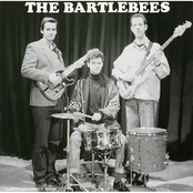 No Stories by The Bartlebees