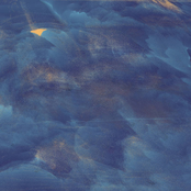 Born In Understanding