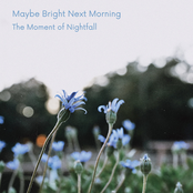 Maybe Bright Next Morning
