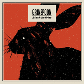 Branded by Grinspoon