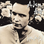 Angel by Adam Ant