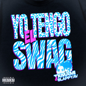 Yo Tengo el Swag