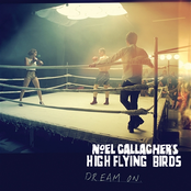 Shoot A Hole Into The Sun by Noel Gallagher's High Flying Birds