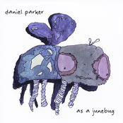 Daniel Parker: As A Junebug