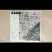 The Wandering Floret pt. 1