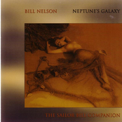 All Alone In A Boat Of His Own by Bill Nelson