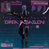 Data Assassin