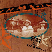 Sure Got Cold After The Rain Fell by Zz Top