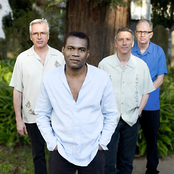 the robert cray band