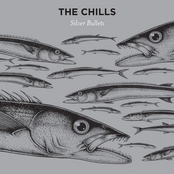 The Chills: Silver Bullets