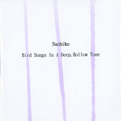 Bird Songs in a Deep, Hollow Tone