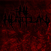 Two American Kids Growing Up