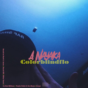 Colorblindflo