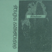 Blindseer