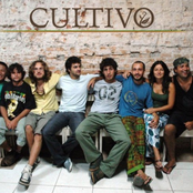 cultivo