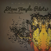 Out Of Time by Stone Temple Pilots