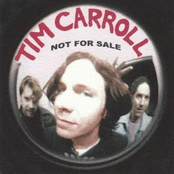 Laid To Rest by Tim Carroll