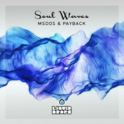 Soul Waves