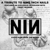A Tribute to Nine Inch Nails: Expulsion From The Womb