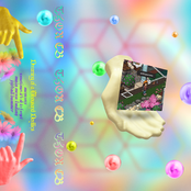 dreaming of a thousand daylilies