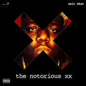 the notorious xx Album Picture