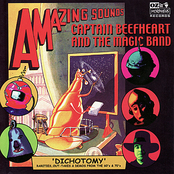 Neon Meat by Captain Beefheart & His Magic Band