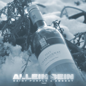 Allein Sein