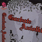 Garbate Aniołki