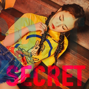 SECRET