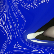 38​%​7​!​!​!​!​AK​$​$​2​/​1"