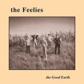 The Last Roundup by The Feelies