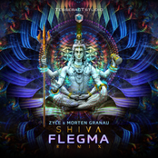 Shiva (Flegma remix)